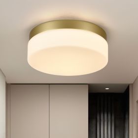 1 PACK LED Flush Mount Ceiling Light Fixture (Color: Gold, Material: Iron)